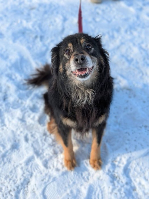 Puszysty Frodo wypatruje swojej rodziny!