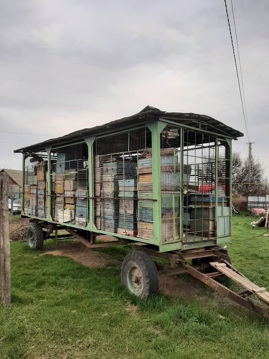 Пасіка на колесах.