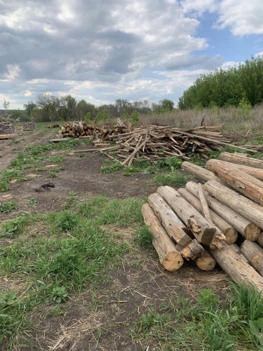 Продам дрова с разборки здания