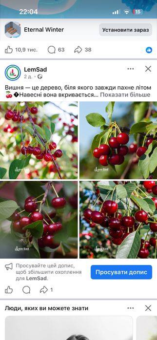 Доставка рослин з Європи