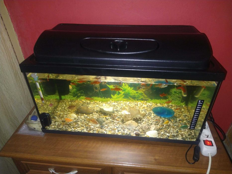 Akwarium 54l led życie osprzęt