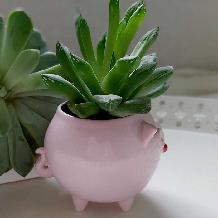 Mała różowa doniczka ceramiczna kot - Rękodzieło na prezent - Lamabo