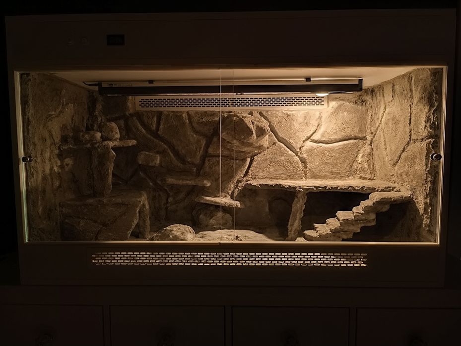 Terrarium dla agamy brodatej, 120x75x50 z wyposażeniem lub bez