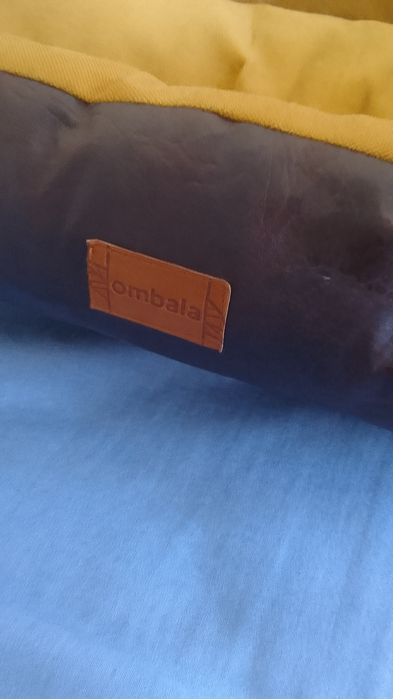 Cama para animal