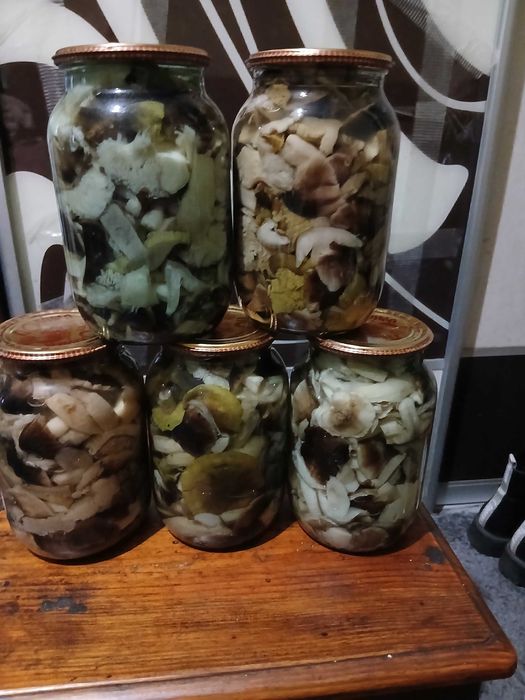 Гриби мариновані лисички