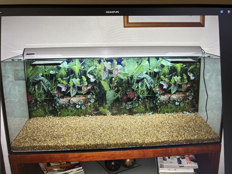 Aquário 200l (120x40cm)