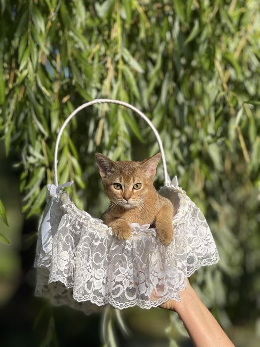 Малюк чекає на люблячу матусю