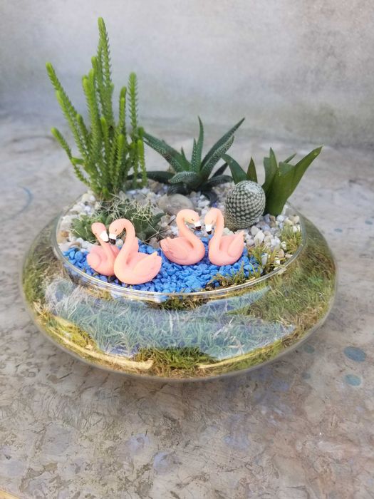 Arranjo de Suculentas