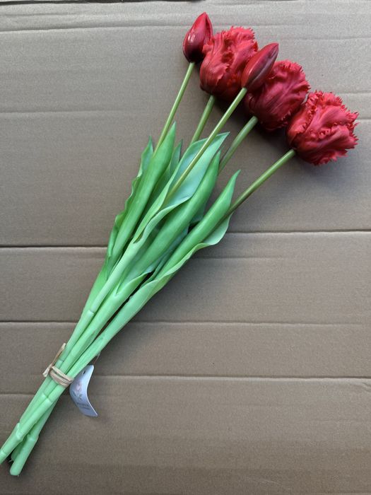 Тюльпани з найтонкішого LUX Силікону