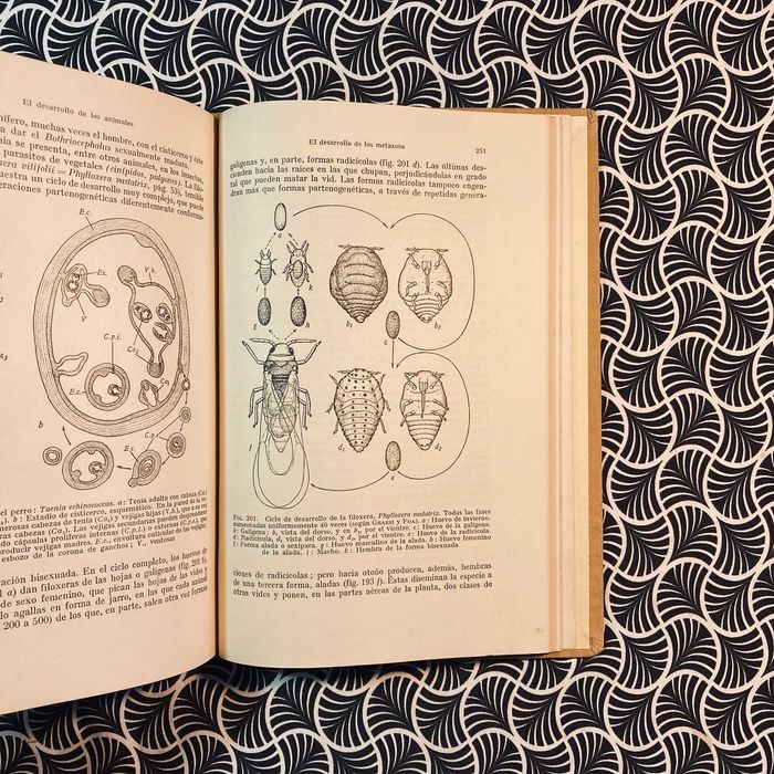 Compêndio de Zoologia General - A. Kuhn