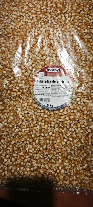 Kukurydza ziarno -popcorn 5kg