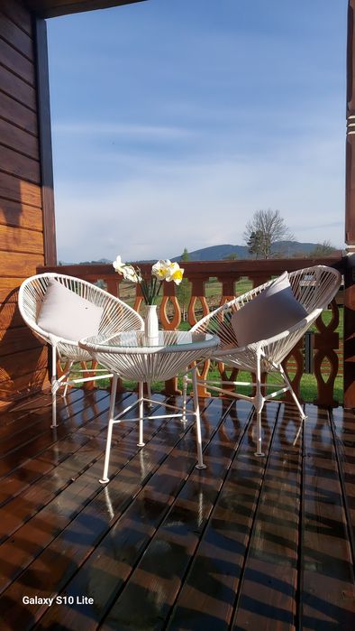 Здається котедж Карпатська модринка