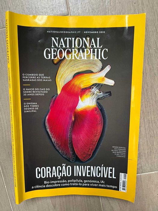 Revistas National Geographic (Abr 2024 – Fev 2026)