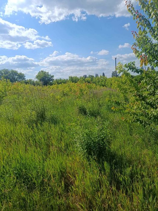 Продаж 16 соток в с. Забір'я. - View 2