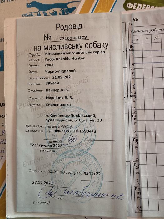 Цуценята Ягдтерєра!