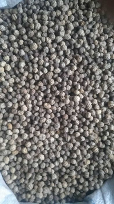 Свіже, якісне насіння овочів, пряних, квітів на вагу,  опт, роздріб.