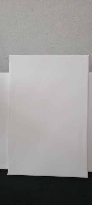 Розпродаж Холстів (полотна, холсти) на підрамнику