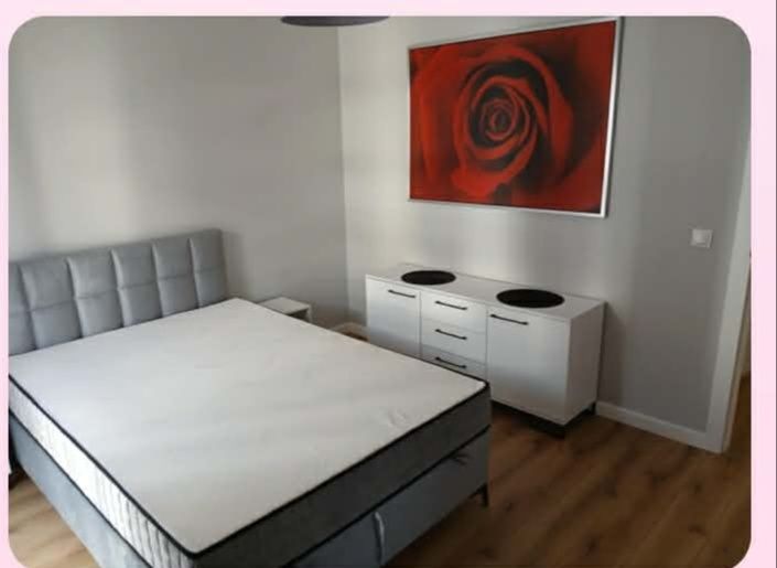 Mieszkanie  do wynajęcia Brzesko błękitna