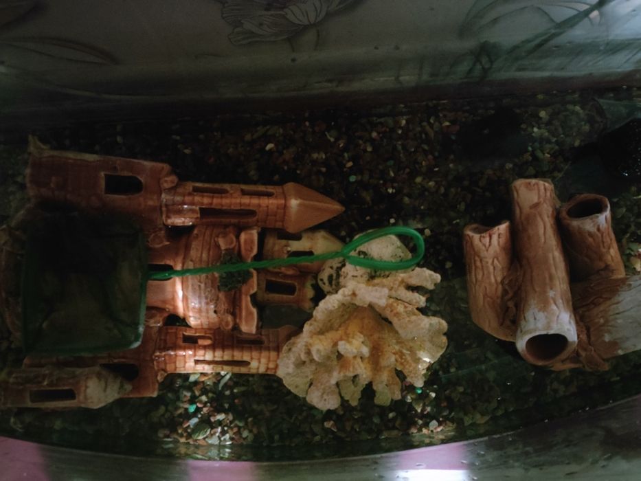 Акваріум на 200літрів