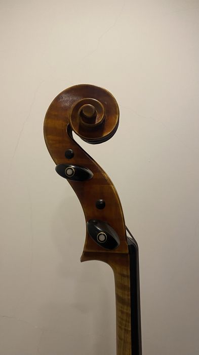 Violoncelo 4/4 “Sasha & Vieira”