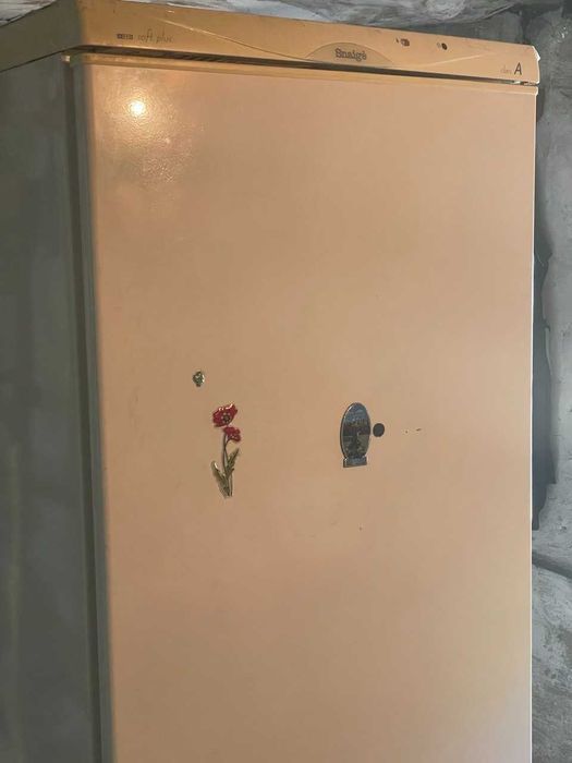Холодильник Snaige RF 315