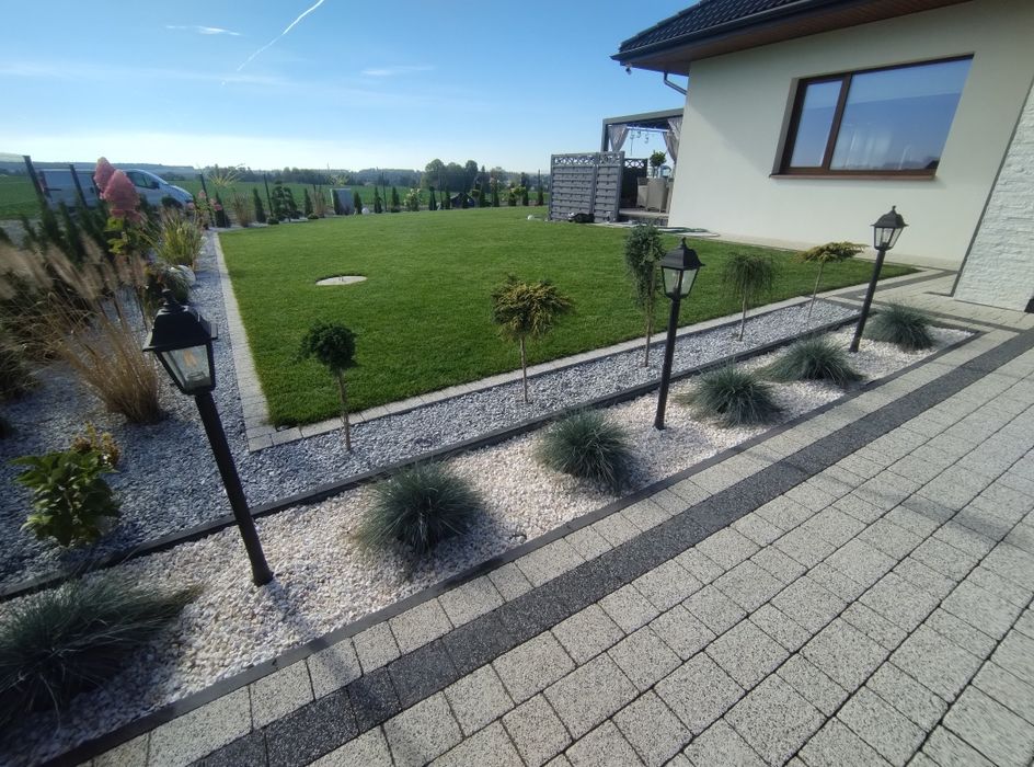 Trawa z rolki Barenbrug, Plantacja ok. Lublina, Trawa w rolce