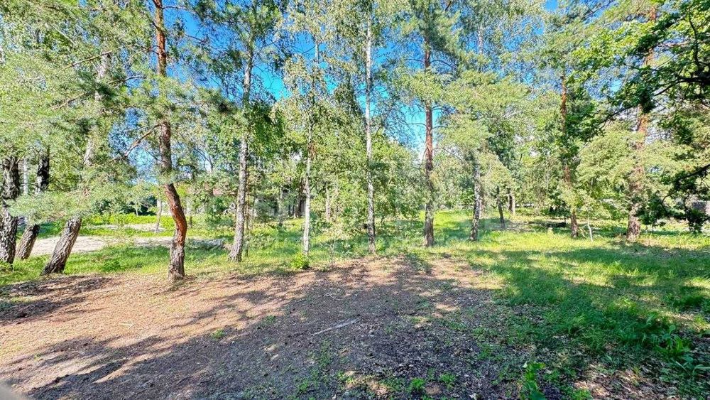 Продаж ділянки, 200 соток, с. Романків, Обухівський р-н