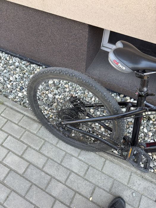 Dartmoor sparrow intro 27.5