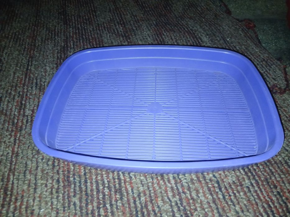 клетки для хомяков и лоток для кота