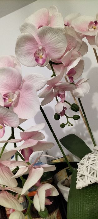 Sztuczny różowy storczyk trzypędowy w ozdobnej doniczkowe