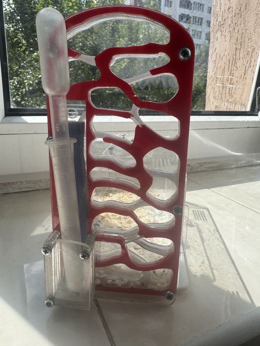 Продам мурашинну ферму