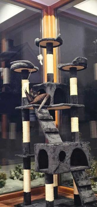 drapak dla kota domek drapak dla kota wysoki 170 cm legowisko zabawki