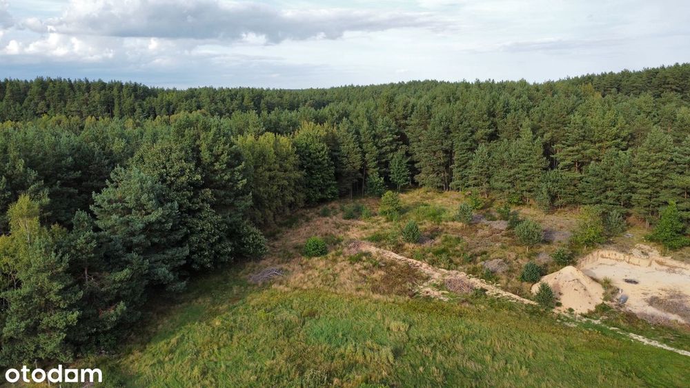 Działka budowlana 1193 m² | Chwaszczyno | Las | 20 min od Gdyni - Widok 5