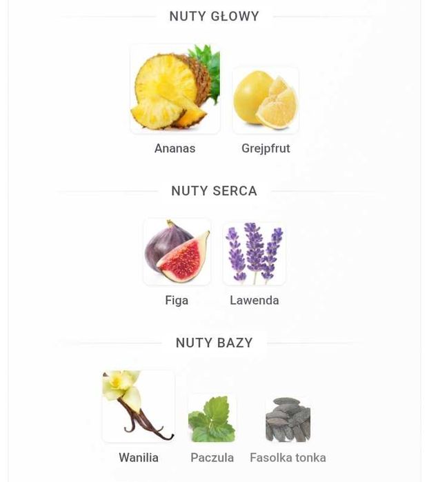 Perfumetka inspiracja Lattafa Shaheen Gold