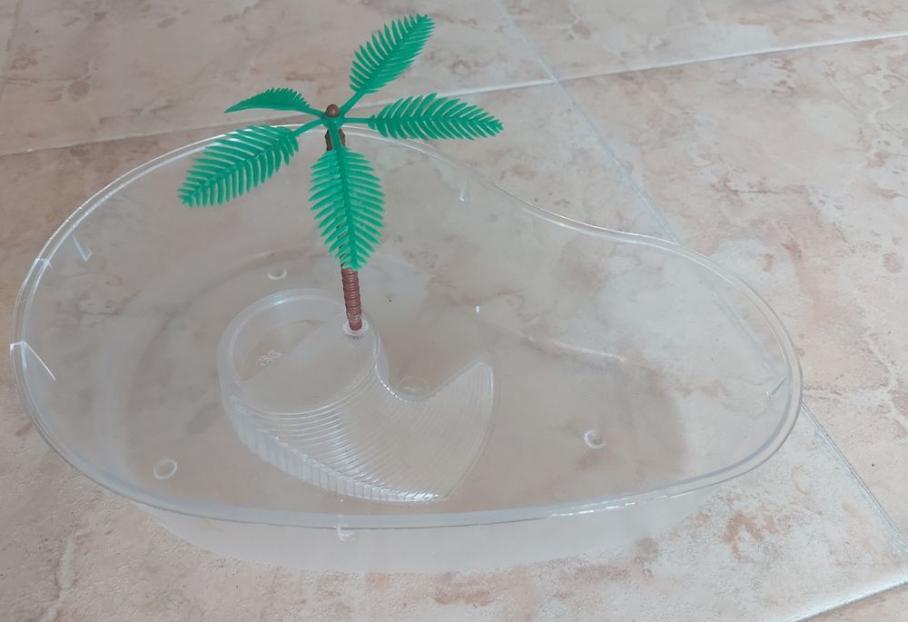 Aquários para tartaruga