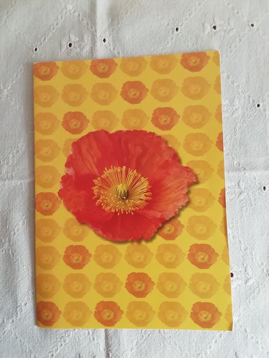 Postal de Michel Verlag