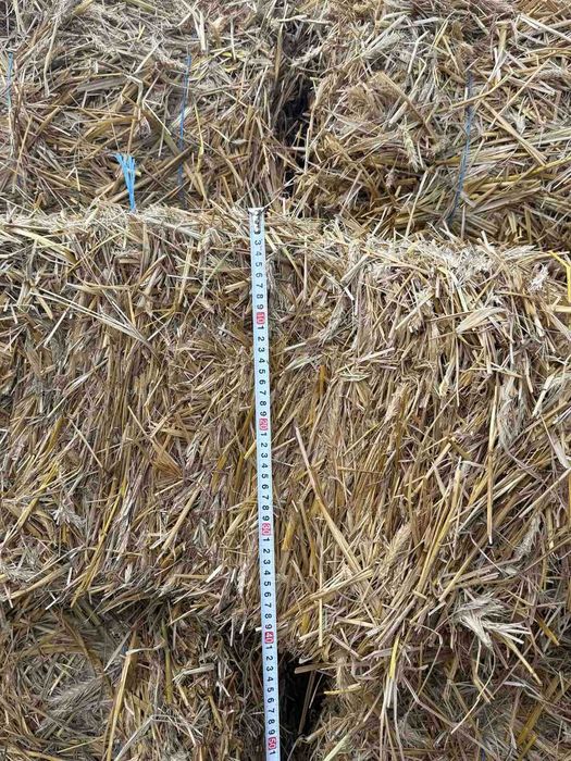 Продам тюки соломи