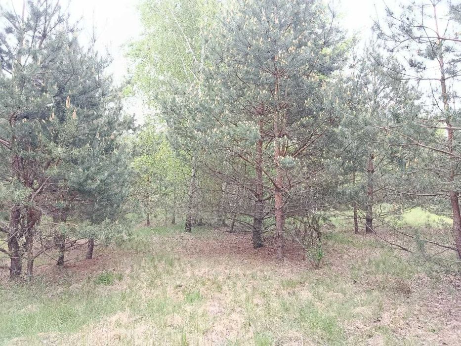 Продам  15-сот під забудову село.Сінгури р-н новобудов