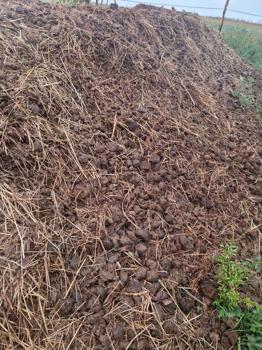 Koński obornik, nawóz naturalny