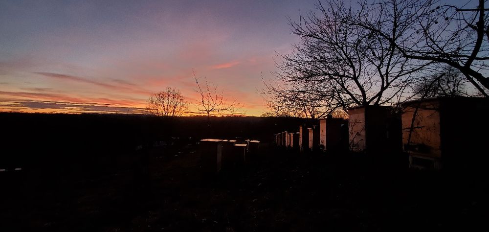 Продам Бджолопакети на ( українську ) Вертикальну рамку!