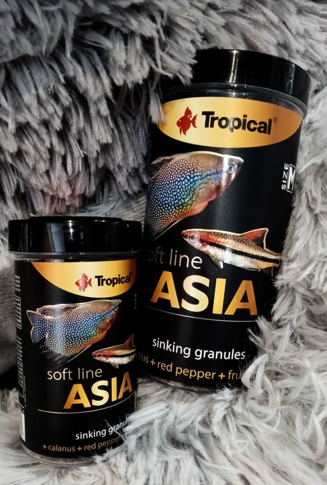 Ziemojad Heckelli  - Tina Zoo Jasna Gliwice