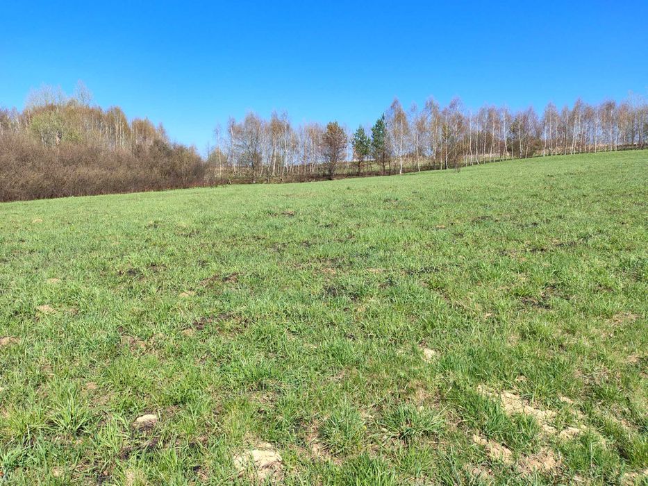 Działka na sprzedaż