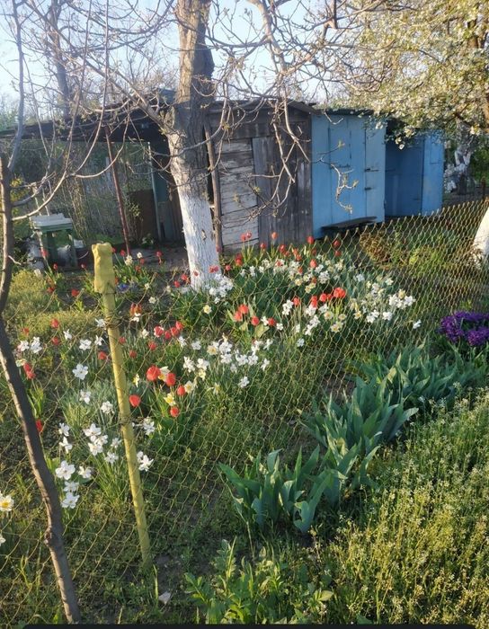 Продам дачу з участком