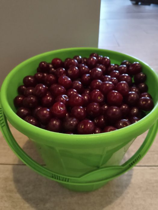 Wiśnie 6,5 kg świeże