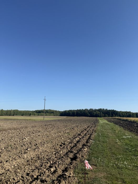 Sprzedaż działek budowlanych- Gmina Ścinawa - Widok 3