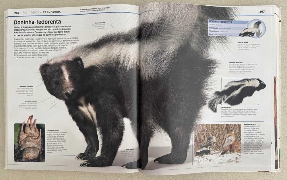 Enciclopédia do Conhecimento – Animais (DK) | Capa Dura