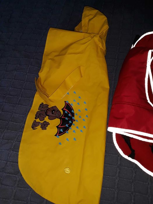 5 capinhas para cão