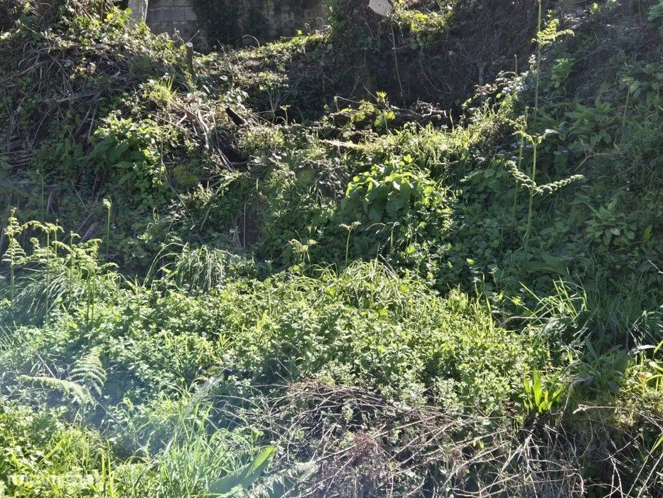 Terreno com Projeto Aprovado