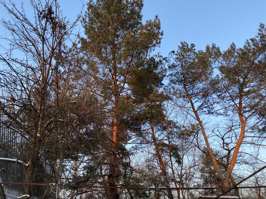 Продам дом(Обуховка)