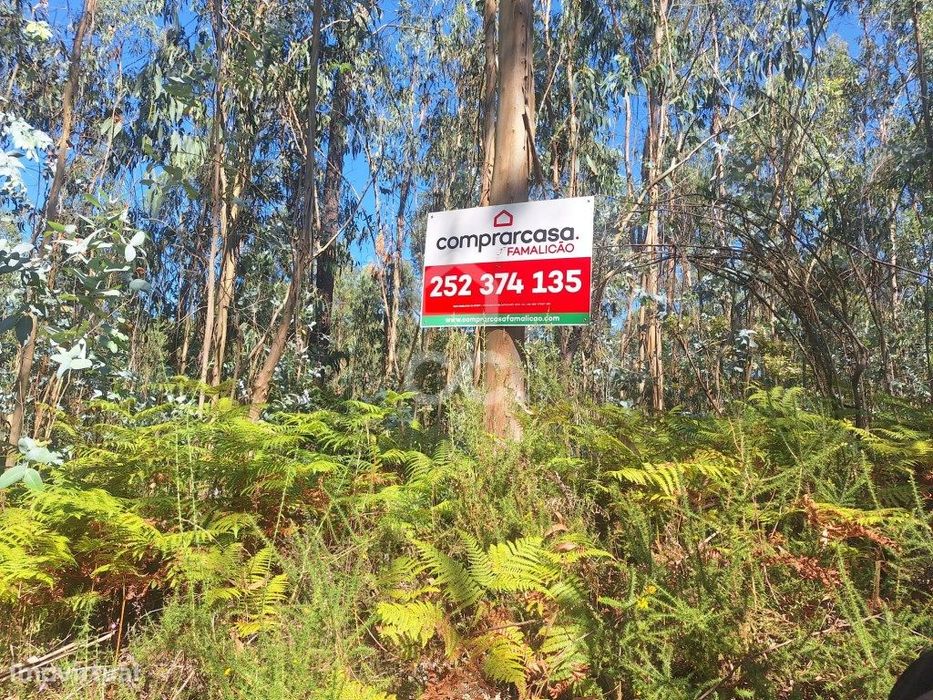 Terreno Eucaliptal em Vale S. Cosme!! — Vale (São Cosme), Telhado E Portela, Braga